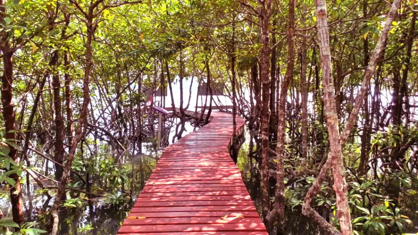 Andaman island Package